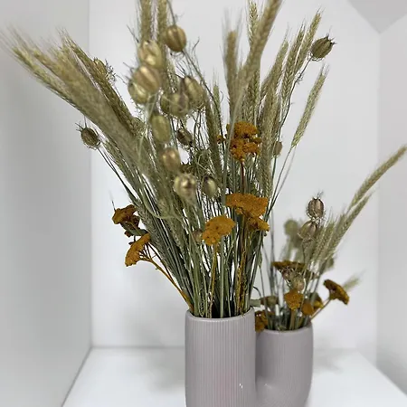 Lucina * Veľký Slavkov