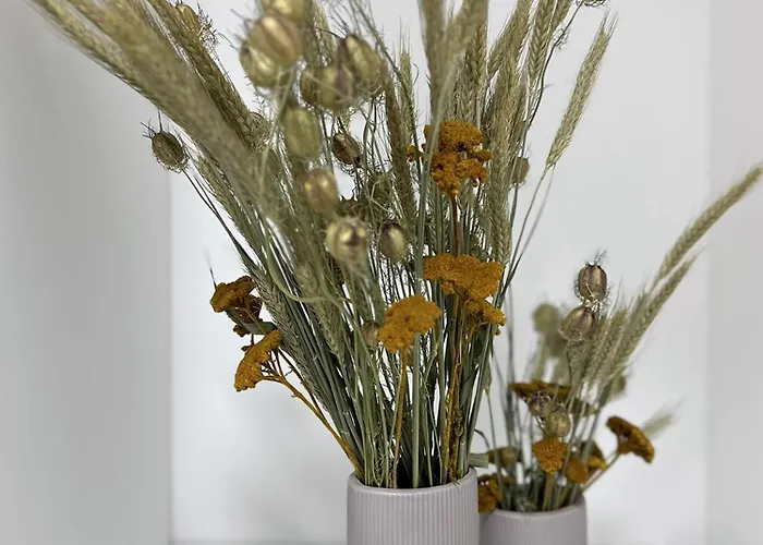 Lučina * Veľký Slavkov